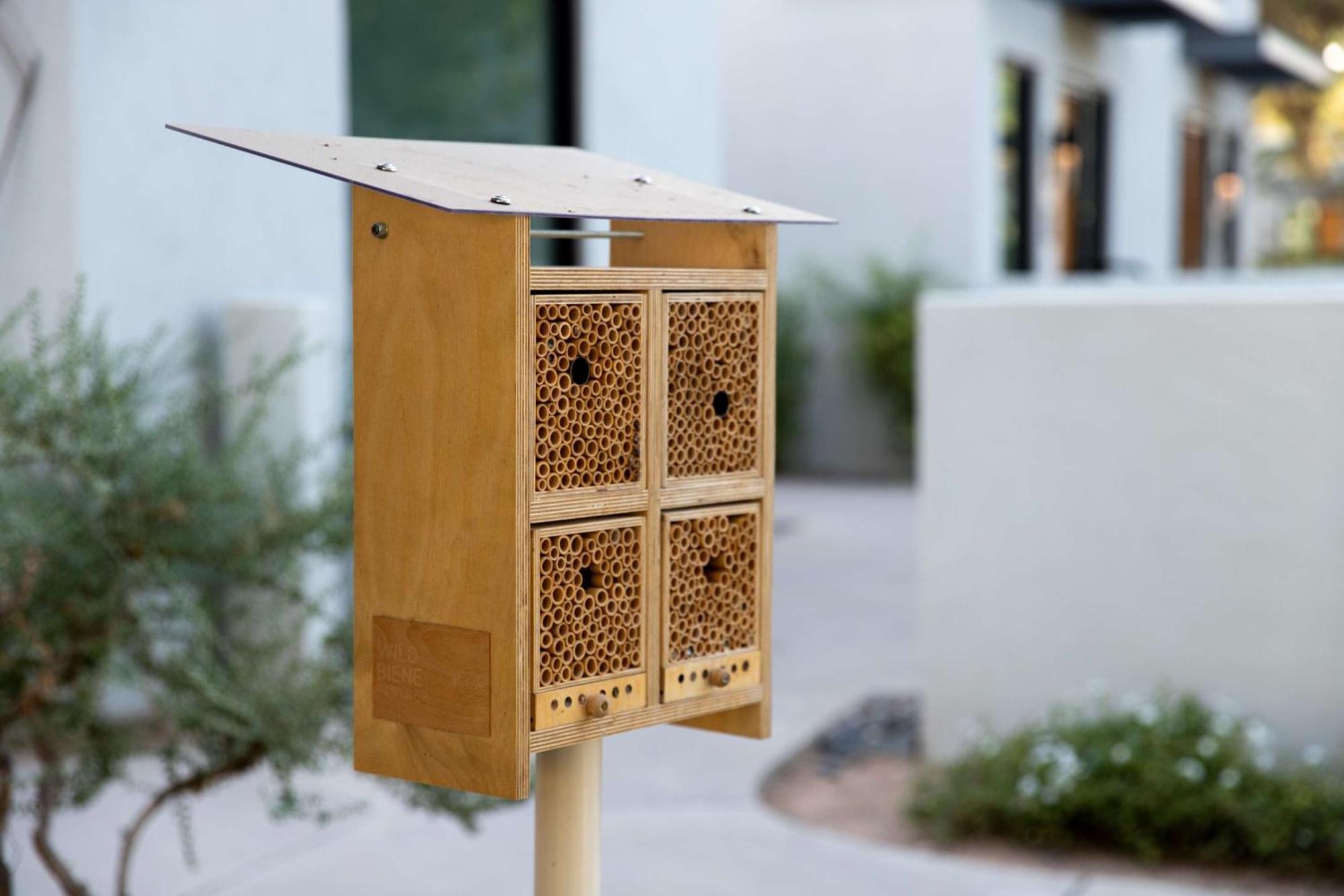 Andaz Scottsdale Resort&Bungalows Exterior foto