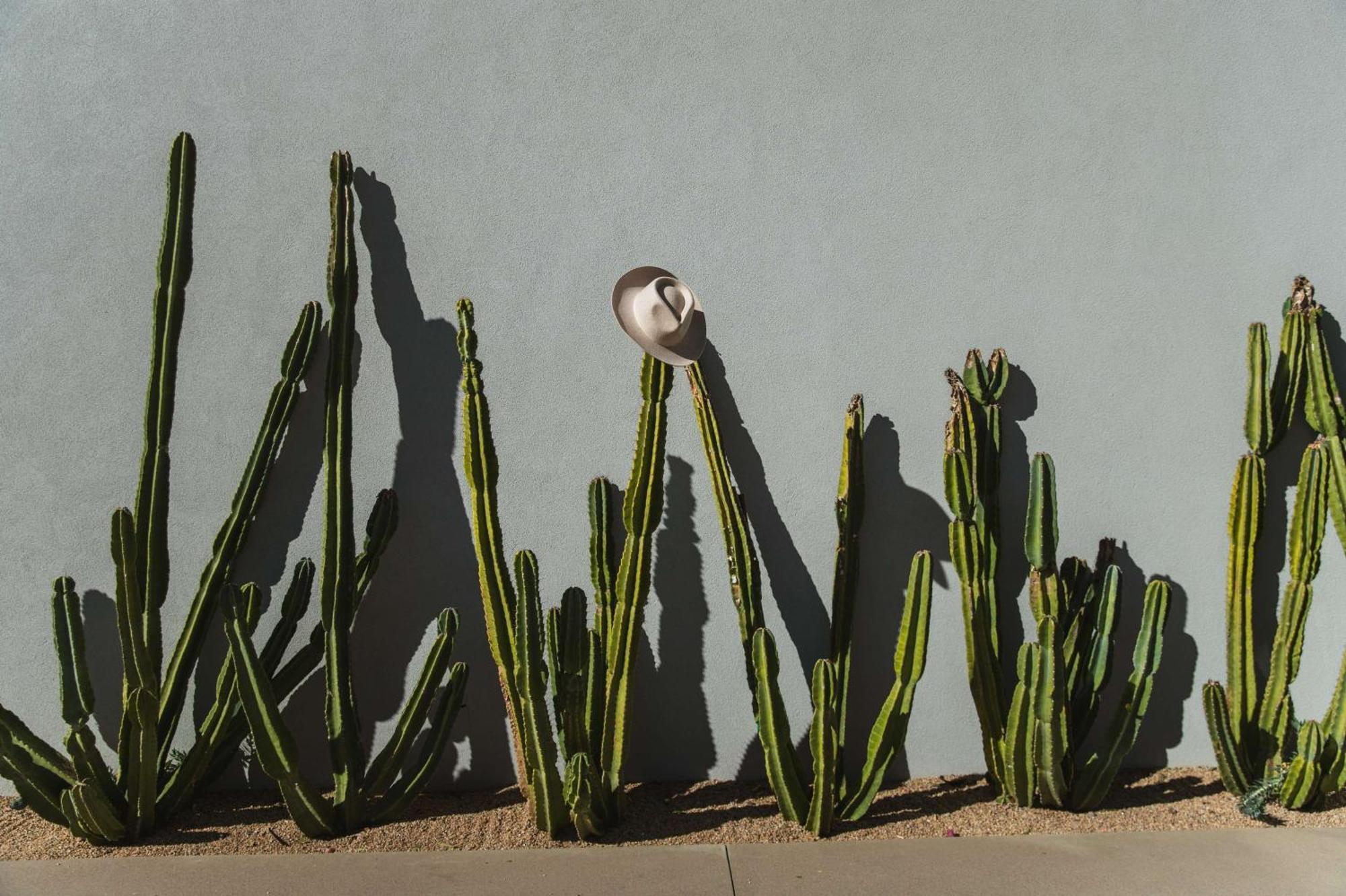Andaz Scottsdale Resort&Bungalows Exterior foto